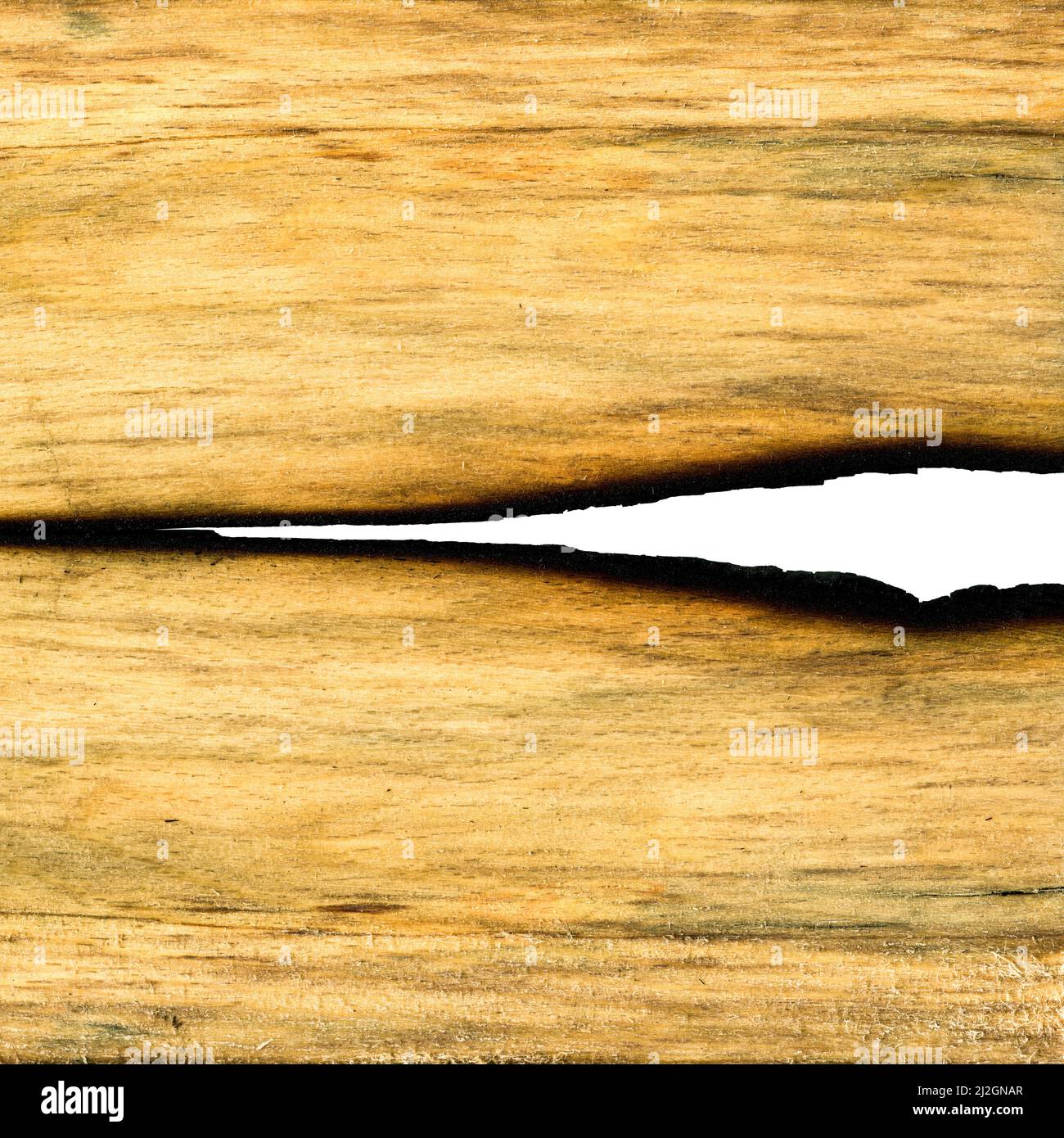 Grana di legno texture. Legno di carpino bruciato, può essere usato come sfondo, sfondo di modello Foto Stock