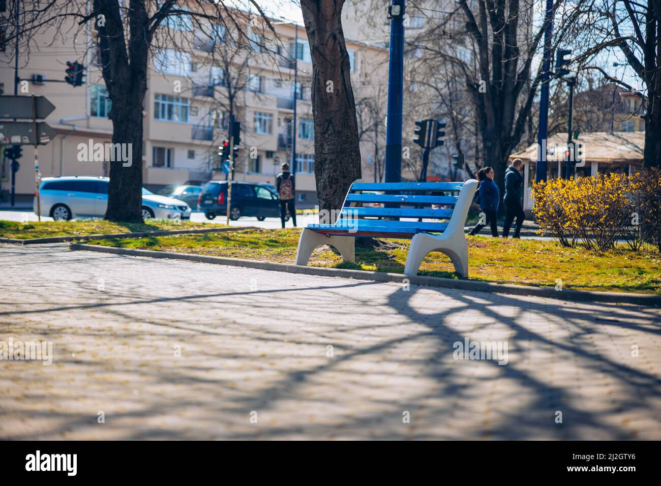 Panca blu nel sole di giorno. Giornate calde in Bulgaria. Una panca di legno vuota in una città in Europa. Alberi ed edifici dietro. Foto di alta qualità Foto Stock