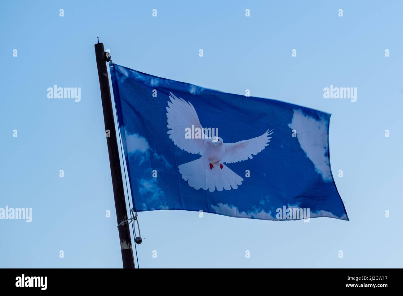 Amburgo, Germania-03132022:primo piano di un flagpole con una bandiera blu con una colomba di pace contro un cielo blu Foto Stock