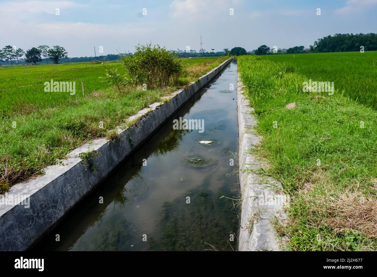 I canali di irrigazione delle aziende di riso in Indonesia sono utilizzati per irrigare i terreni agricoli Foto Stock