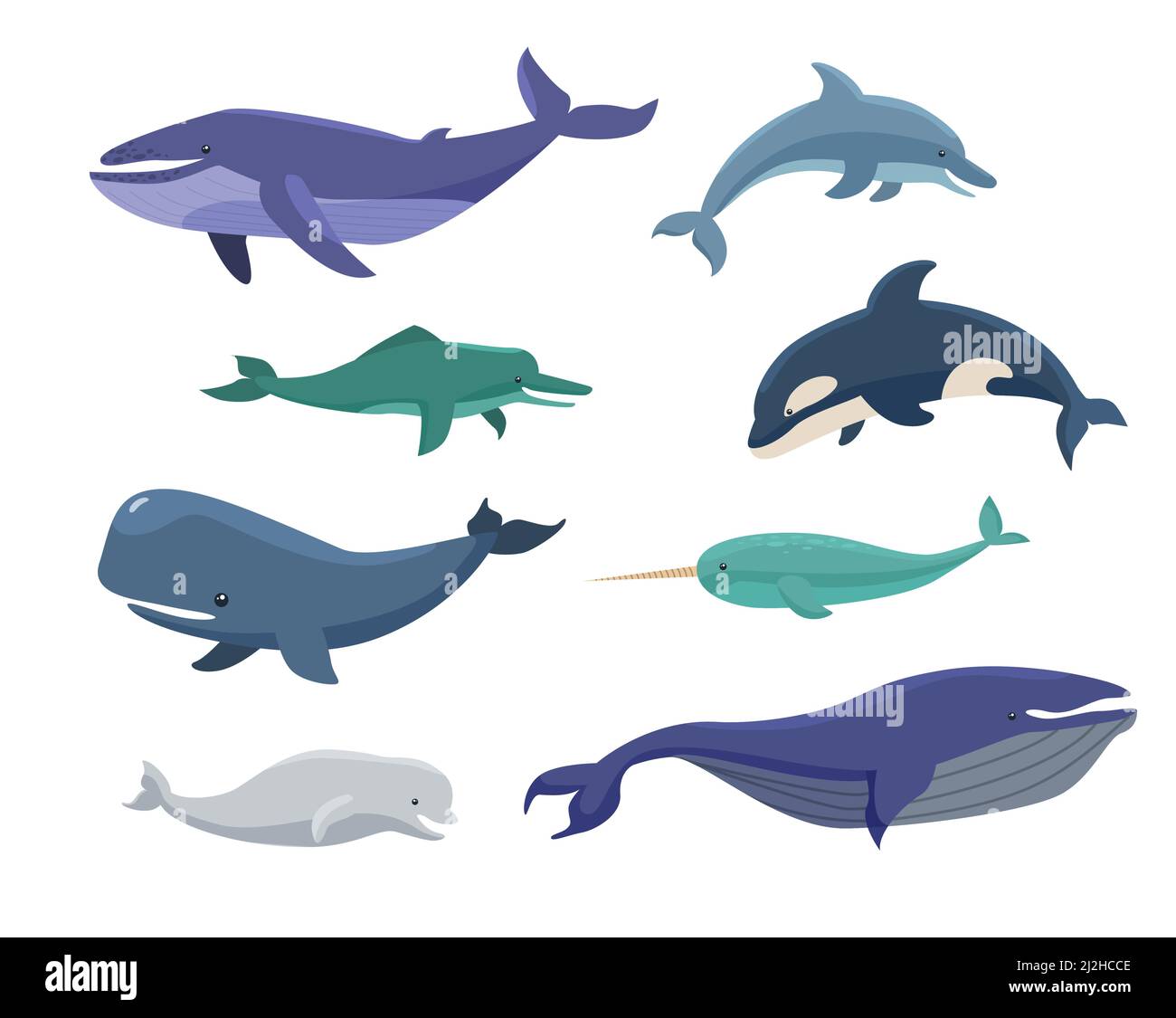 Balene, viscere, narbalene, orche cartoon set di illustrazioni. Gruppo di animali marini blu e bianchi di diverse dimensioni. Mammiferi, creature marine e oceaniche Illustrazione Vettoriale