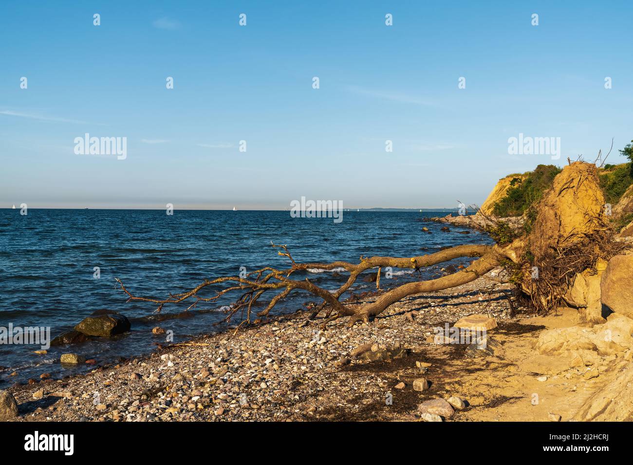 La costa del Mar Baltico e le scogliere di Brodten, Schleswig-Holstein, Germania Foto Stock