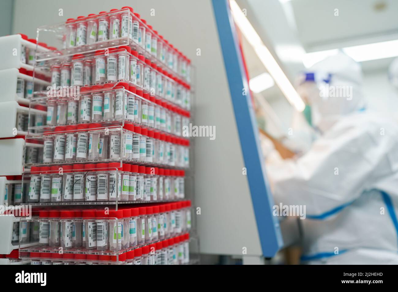 Pechino, Cina. 23rd Mar 2022. Un membro dello staff lavora in un laboratorio di analisi degli acidi nucleici COVID-19 a Shanghai, nella Cina orientale, il 23 marzo 2022. Credit: Ding Ting/Xinhua/Alamy Live News Foto Stock