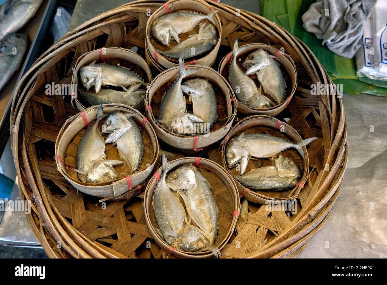 Thailandia sgombro piccolo pesce unico per il Golfo della Thailandia con le sue dimensioni piccole e forma rotonda e corta Foto Stock