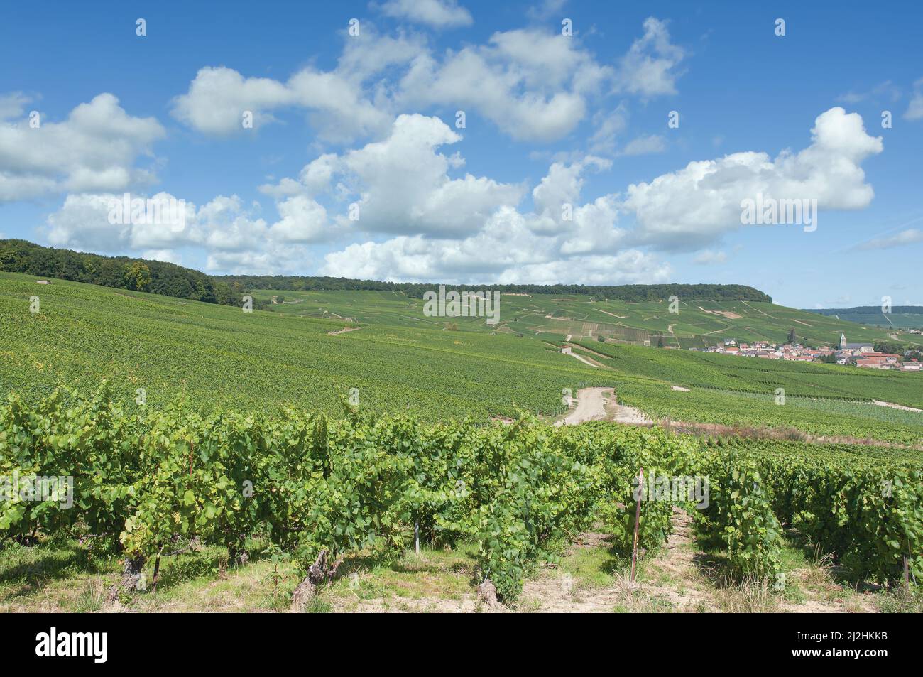 Villaggio del vino di Oger vicino Epernay, regione Champagne, Francia Foto Stock