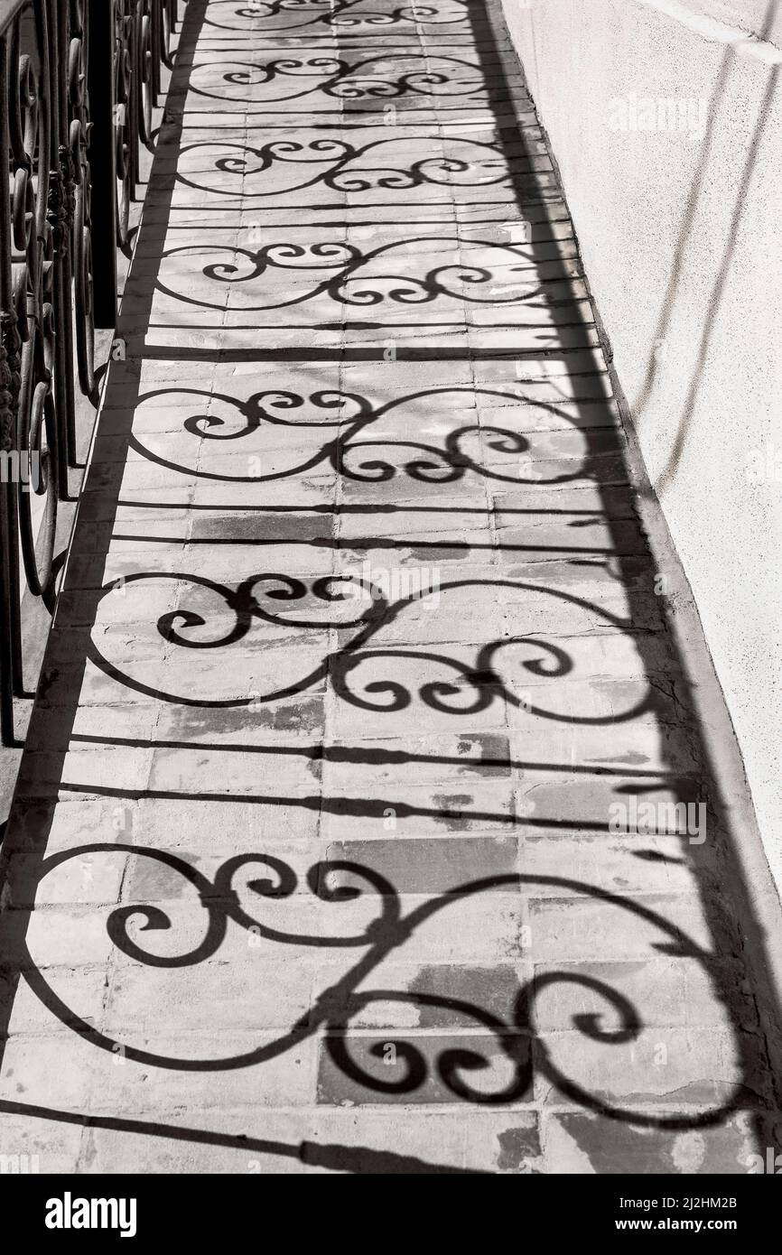 Ombre di ferro recinzione ricci in bianco e nero Foto Stock