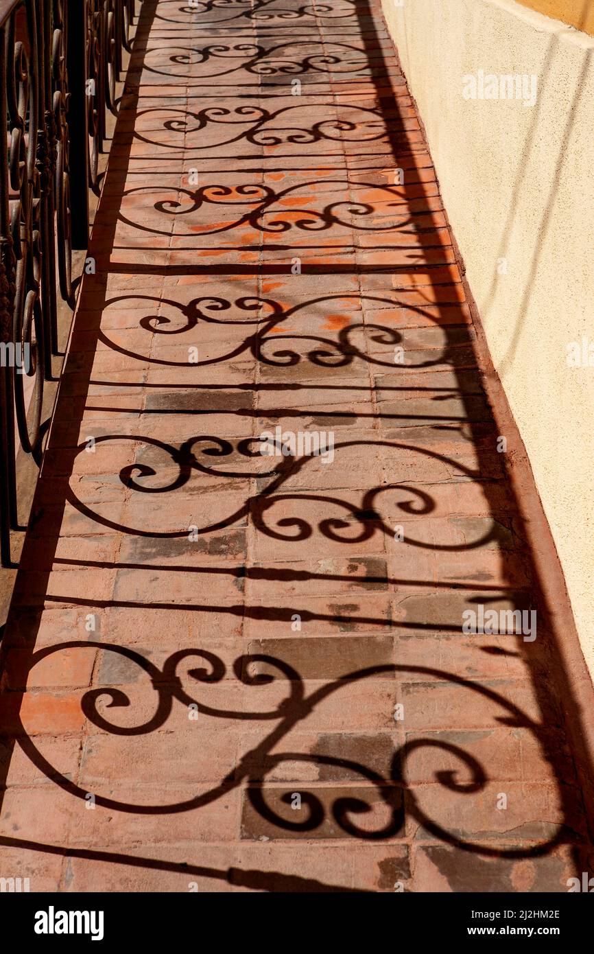 Ombre di ricci di ferro recinzione Foto Stock