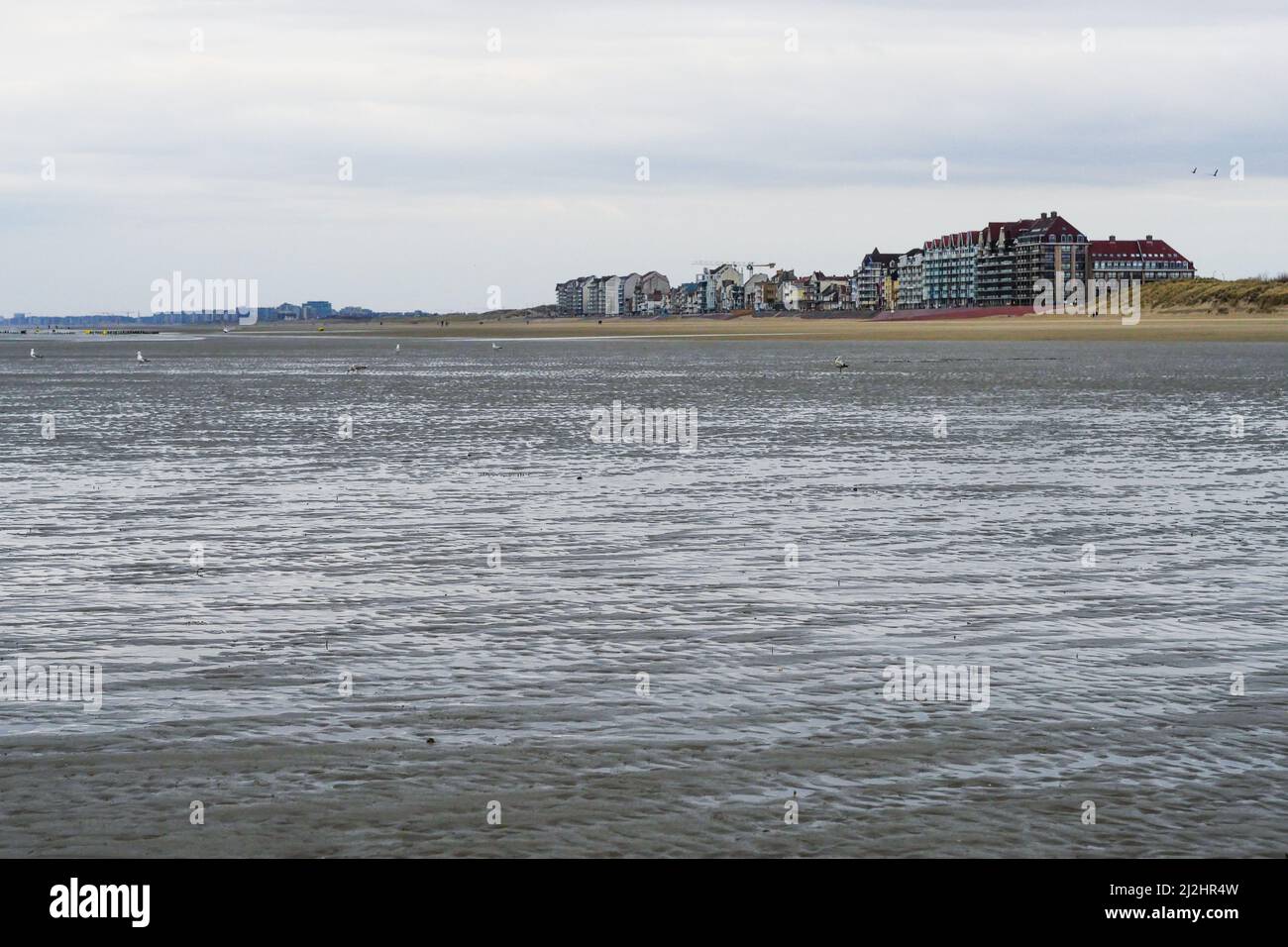 Bray-Dunes, Nord, Hauts-de-France, Francia Foto Stock