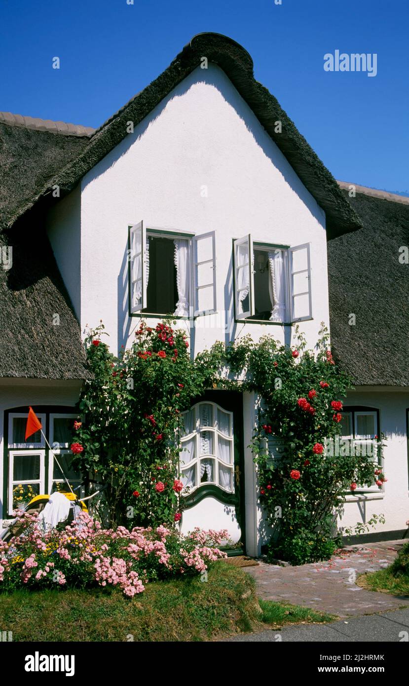 Vecchia casa a Keitum, Sylt isola, Schleswig-Holstein, Germania, Europa Foto Stock