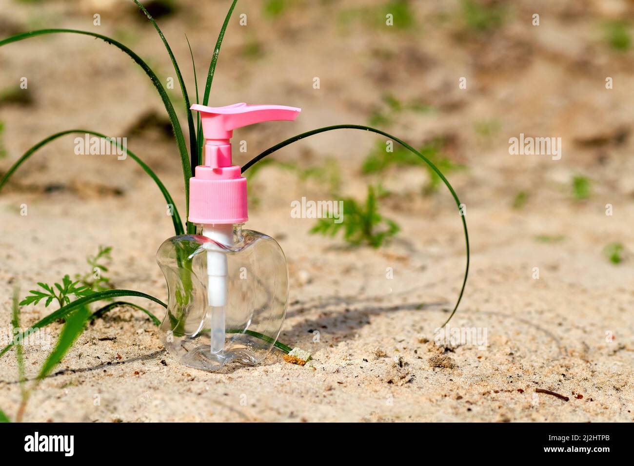 Flacone spray rosa trasparente per antisettico e profumo sulla sabbia con verde Foto Stock