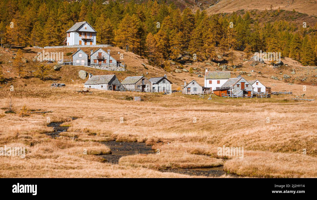 Un pascolo ad alta quota nelle Alpi con le sue tipiche abitazioni montane, durante il periodo del fogliame, quando la foresta di larici diventa oro. Foto Stock