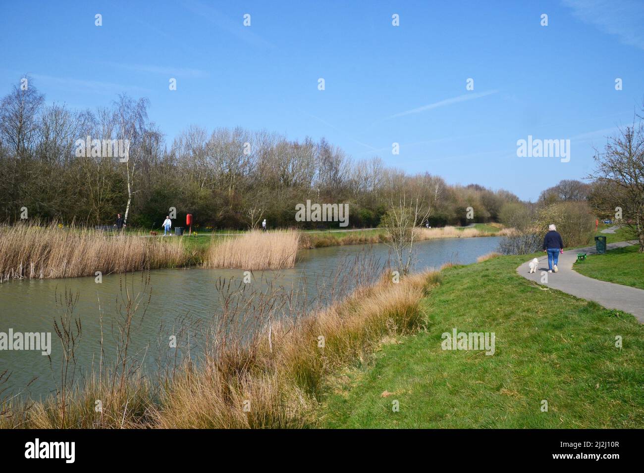 Lady a piedi il suo cane intorno al lago principale in Hailsham Country Park, Hailsham, East Sussex, Regno Unito Foto Stock