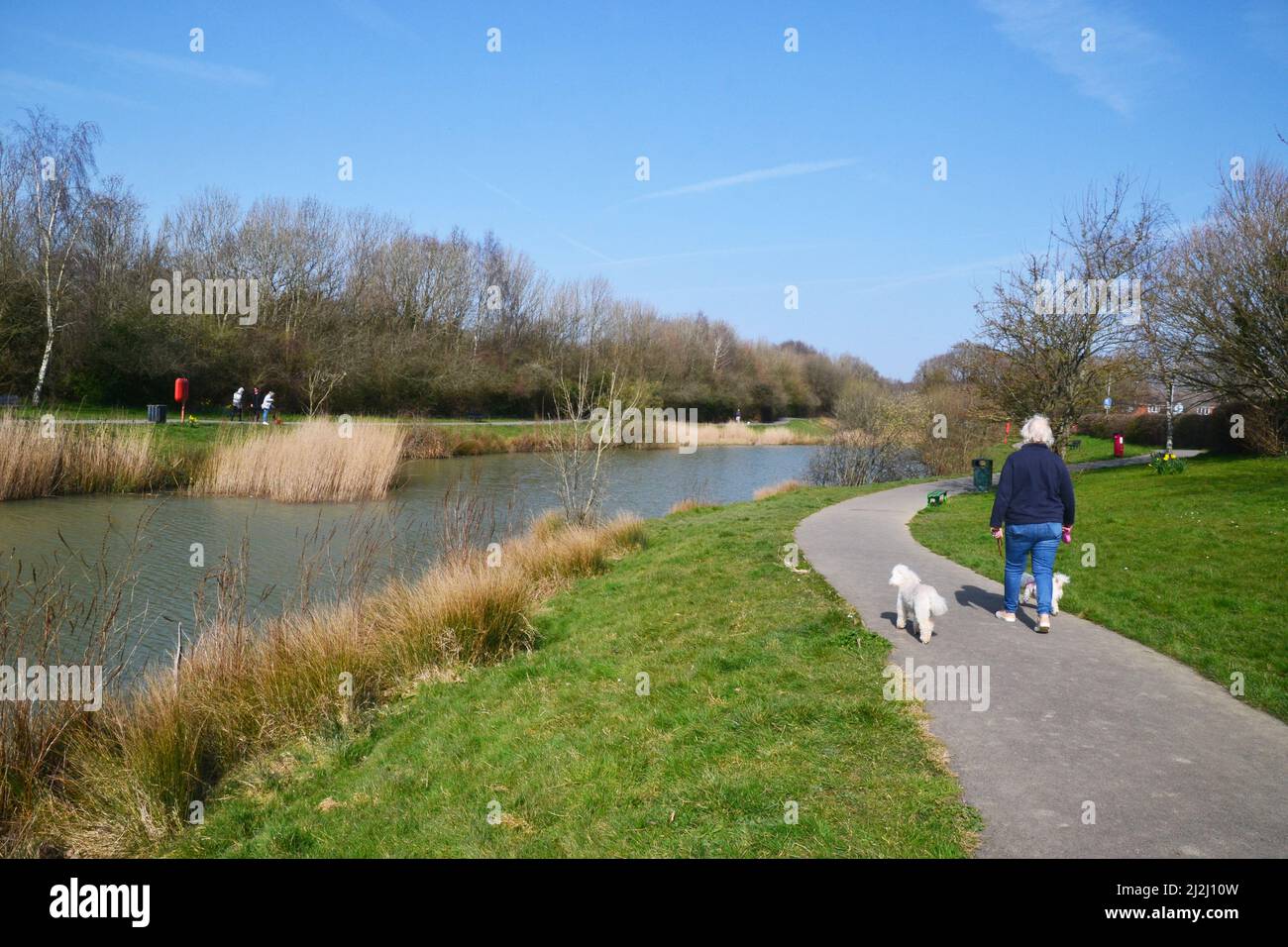 Lady a piedi il suo cane intorno al lago principale in Hailsham Country Park, Hailsham, East Sussex, Regno Unito Foto Stock