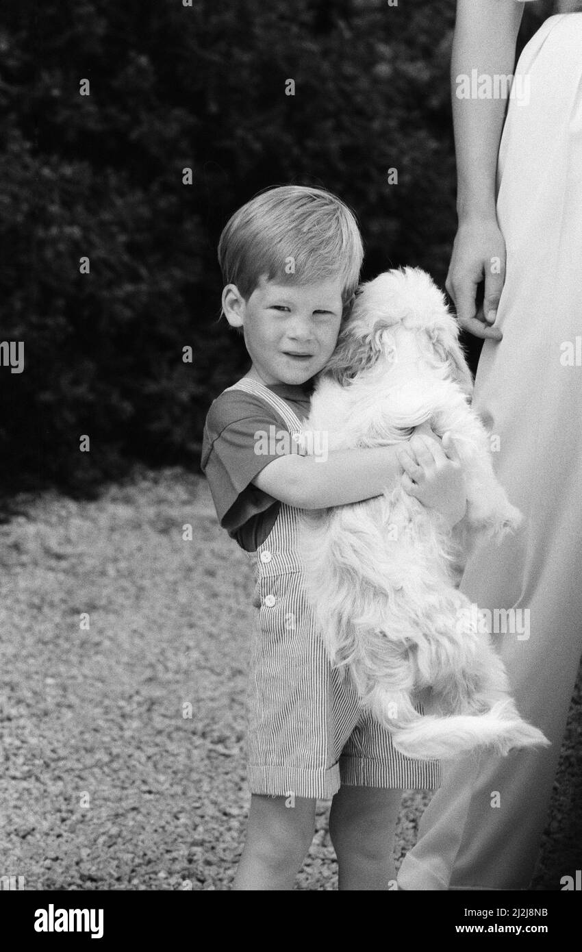 Il Principe Harry, in vacanza con la sua famiglia, il Principe William, la Principessa Diana e il Principe Carlo a Maiorca, Isole Baleari, Mediterraneo. Il Principe gioca con un cane, forse il cane del Re e Regina di Spagna che sono ospiti della famiglia Windsor Royal in questa vacanza. Foto scattata il 15th settembre 1987 Foto Stock