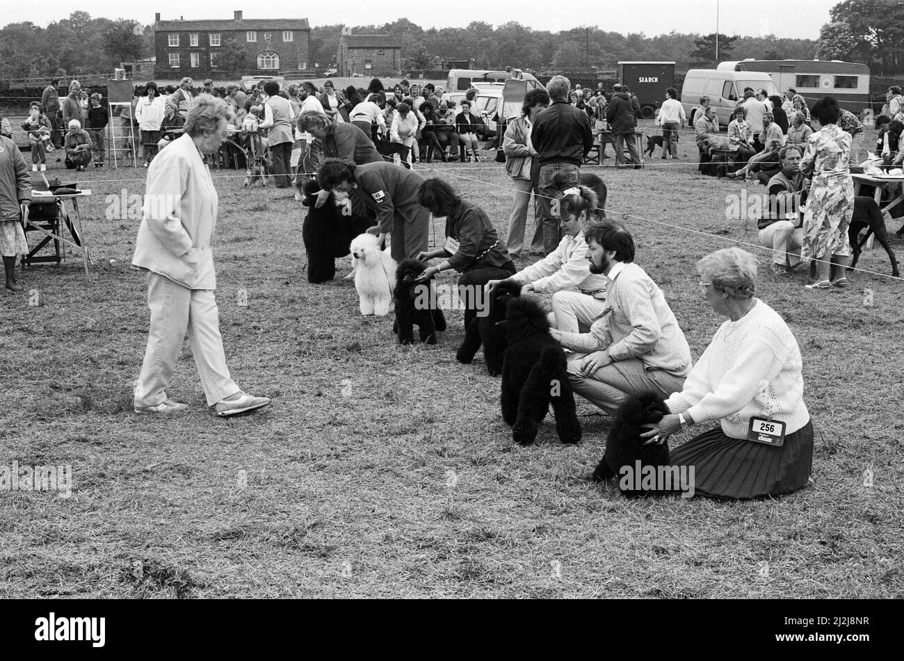 Scene generali all'Honley Show, West Yorkshire. 11th giugno 1988. Foto Stock