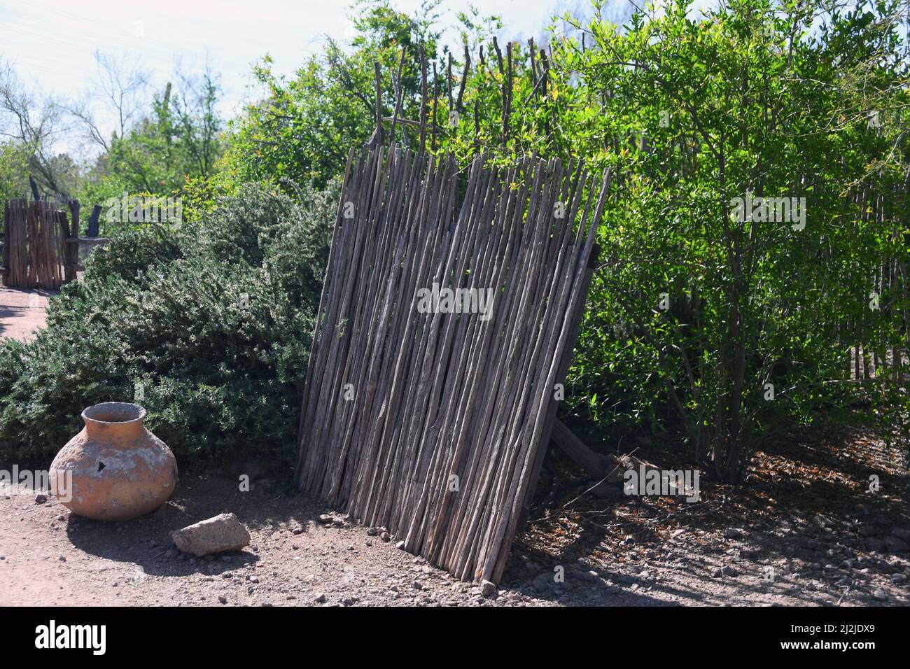Recinzione in scheletro di Cactus Foto Stock