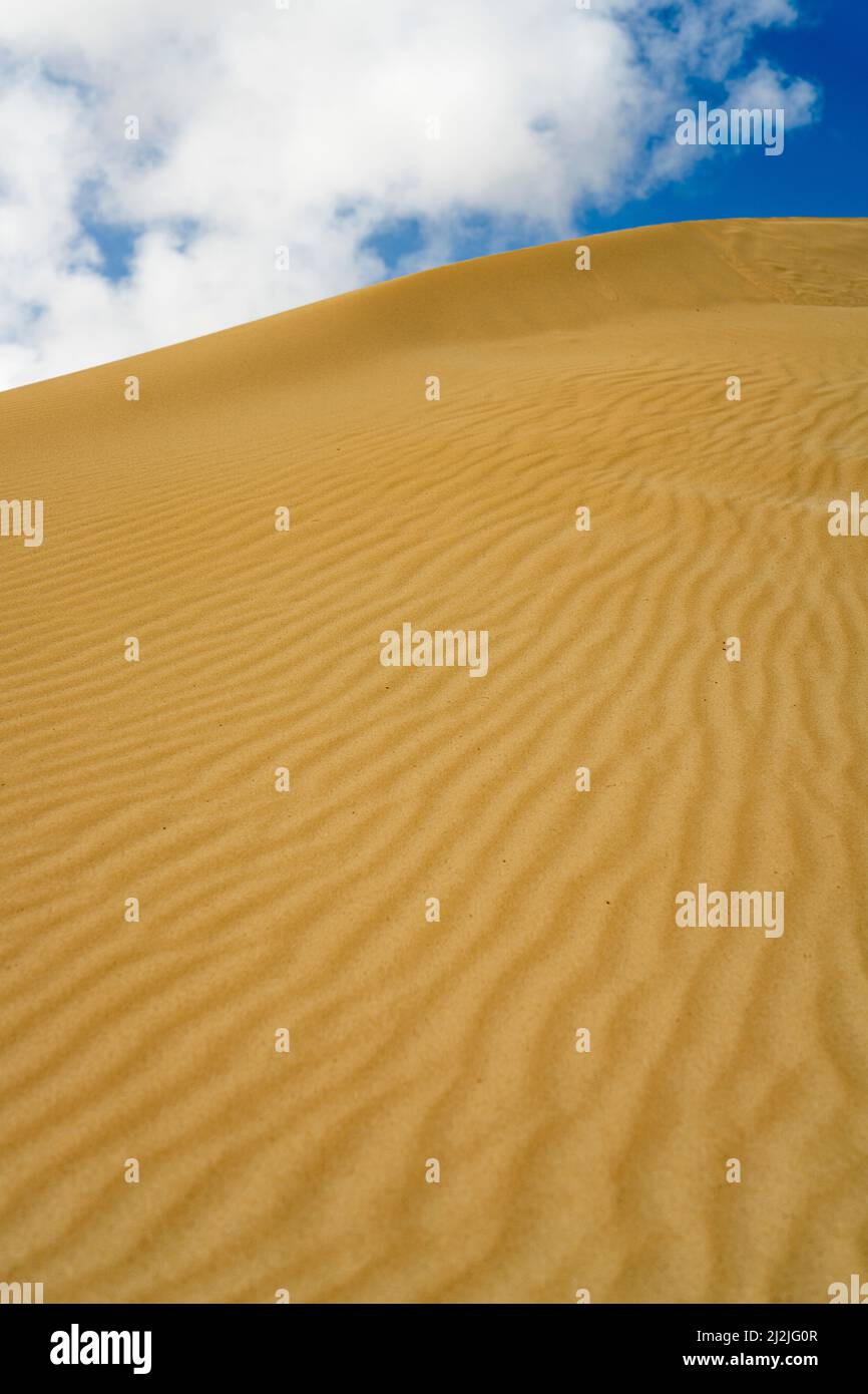 Dune del deserto di sabbia, Parco Naturale Corralejo, Fuerteventura, Isole Canarie, Spagna Foto Stock