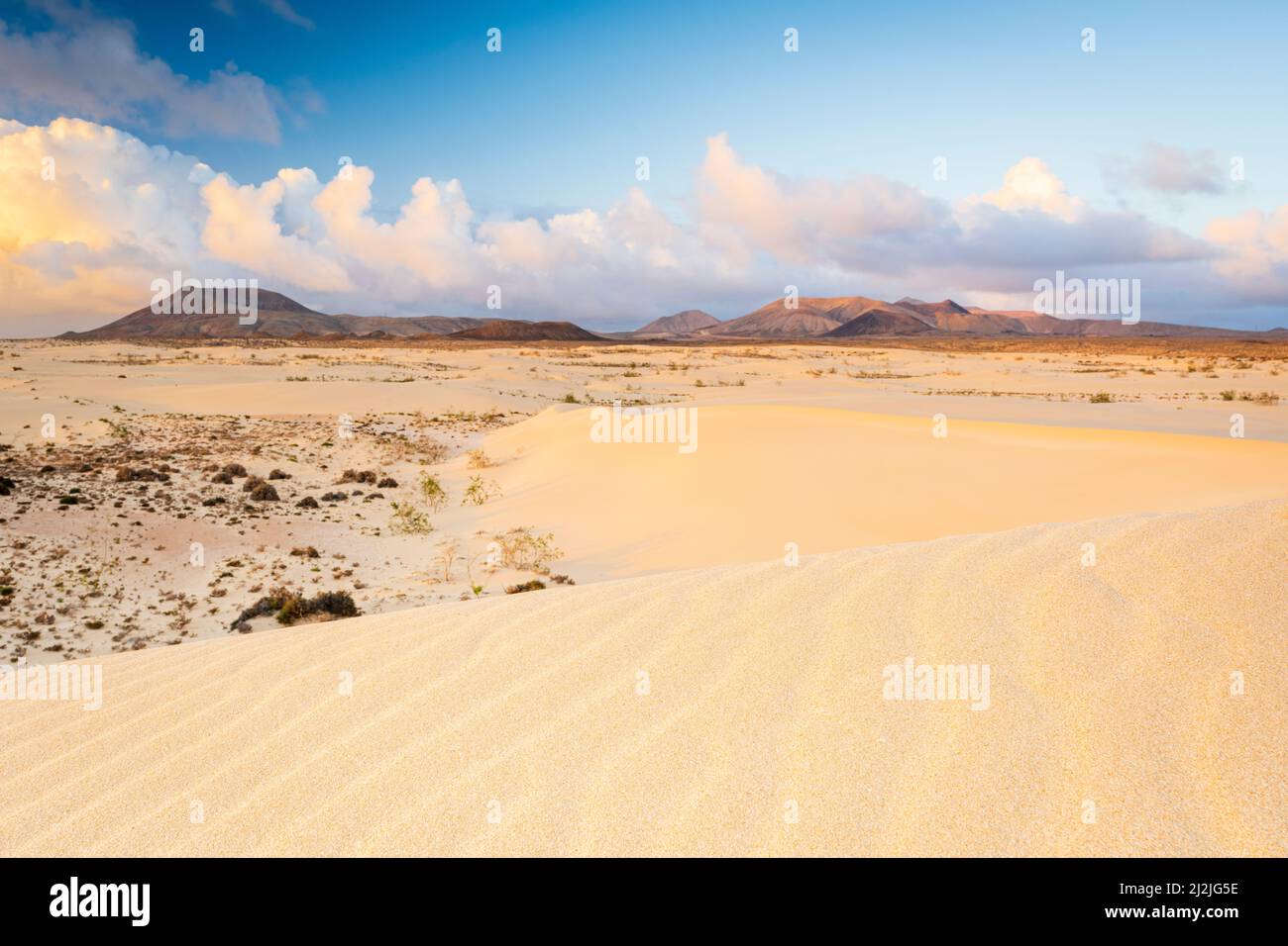 Dune di sabbia all'alba, Parco Naturale Corralejo, Fuerteventura, Isole Canarie, Spagna Foto Stock
