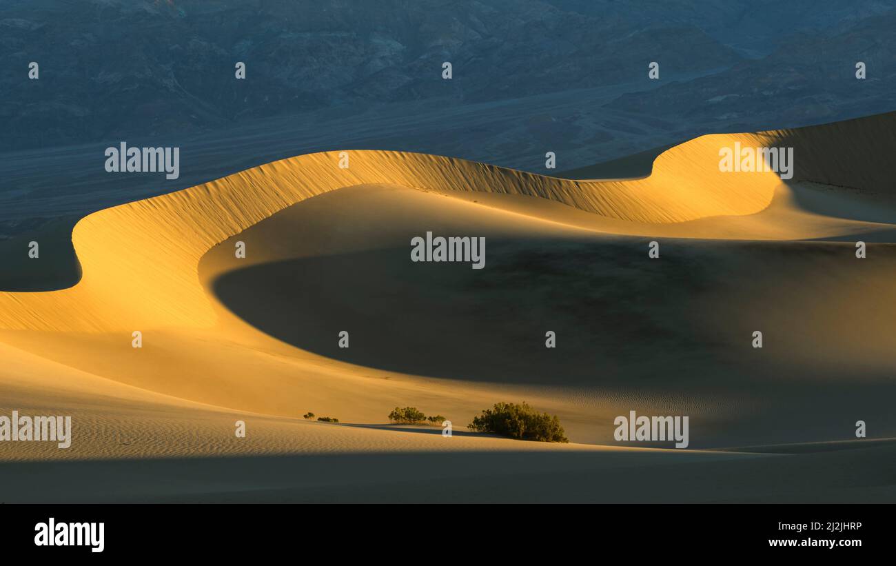Mesquite Flat Sand Dunes nel Death Valley National Park, California. Foto Stock
