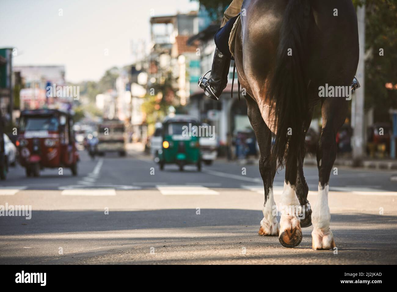 Cavallo di pattugliamento della polizia durante il controllo del traffico nel trafficato centro della città. Kandy in Sri Lanka. Foto Stock