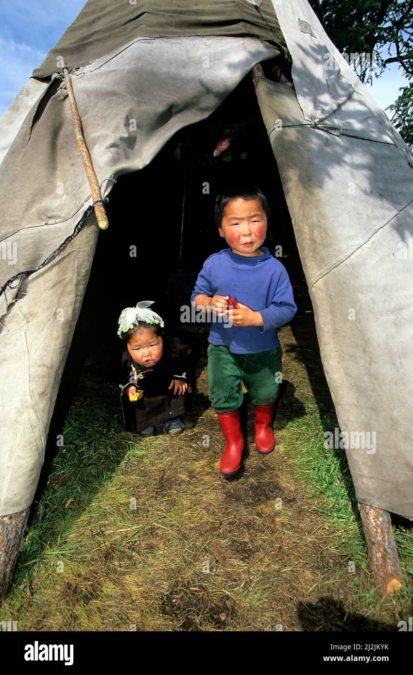 Mongolia. I Dukha (Tsaatan) sono una piccola cultura di mandrie di renne che vivono nel nord Khövsgöl Aimag della Mongolia. Foto Stock