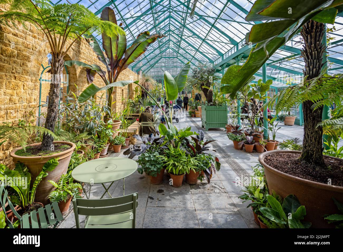 Cafe all'interno della serra con piante esotiche al Newt, Somerset, Regno Unito, il 2 aprile 2022 Foto Stock