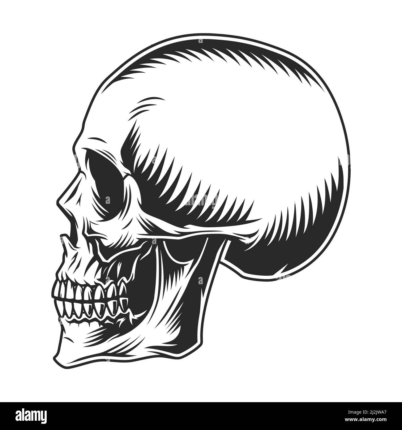 Modello di profilo cranio umano vintage su sfondo bianco vettore isolato illustrazione Illustrazione Vettoriale