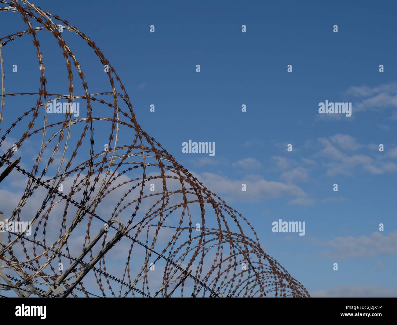 Filo spinato in acciaio per rasoio contro il cielo sfondo. Barriera. Foto Stock