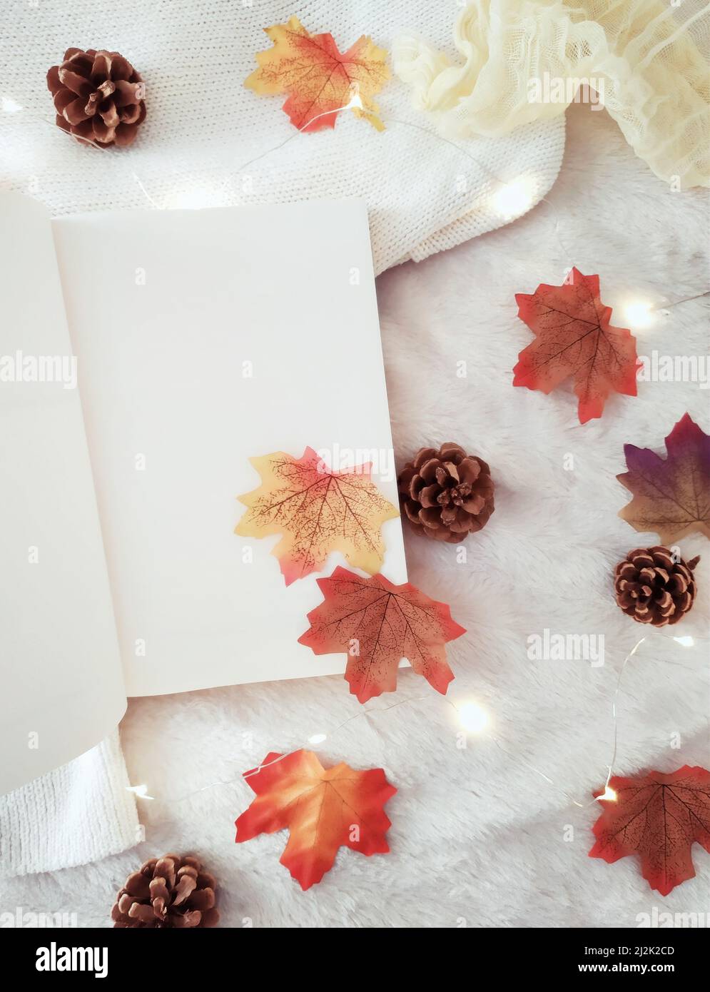 Vista dall'alto di foglie autunnali, pinecones e fata luci su un tavolo accanto a un notebook aperto Foto Stock