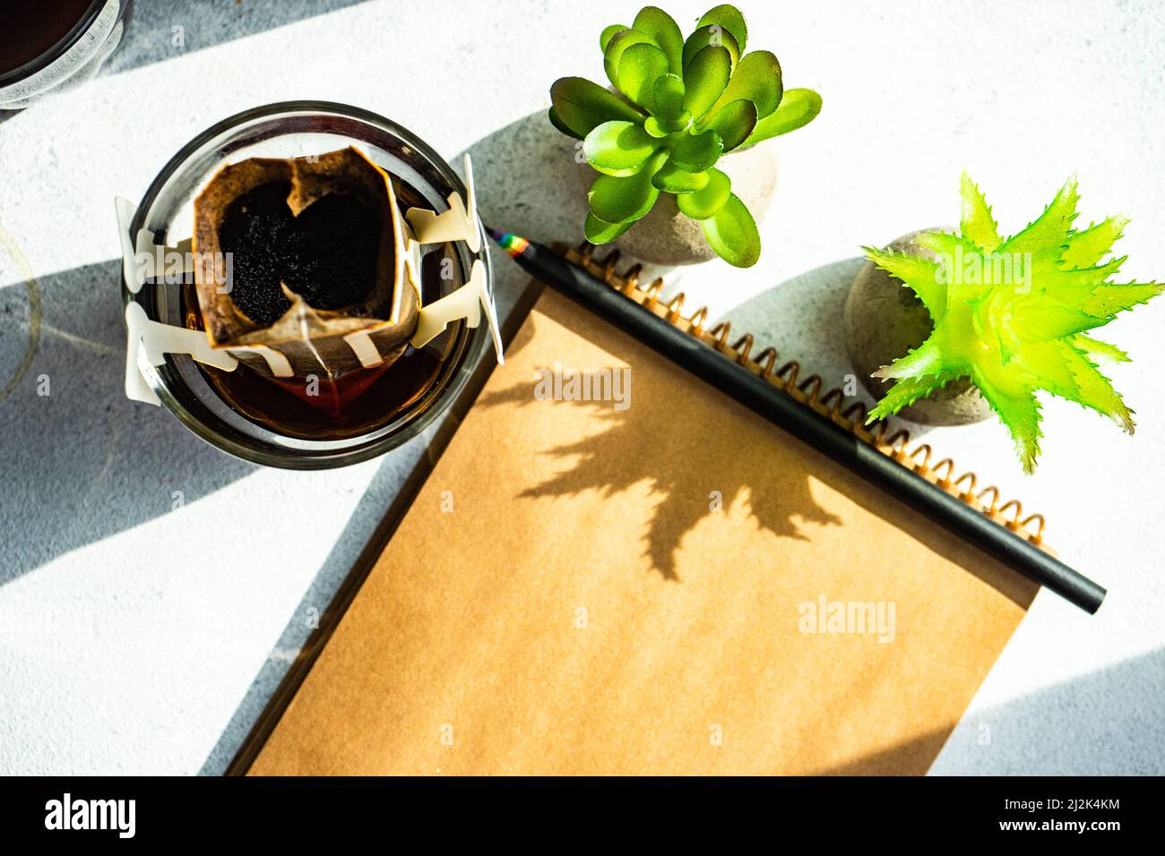 Vista dall'alto di un bicchiere di caffè, filtro per caffè individuale, blocco note e piante domestiche Foto Stock