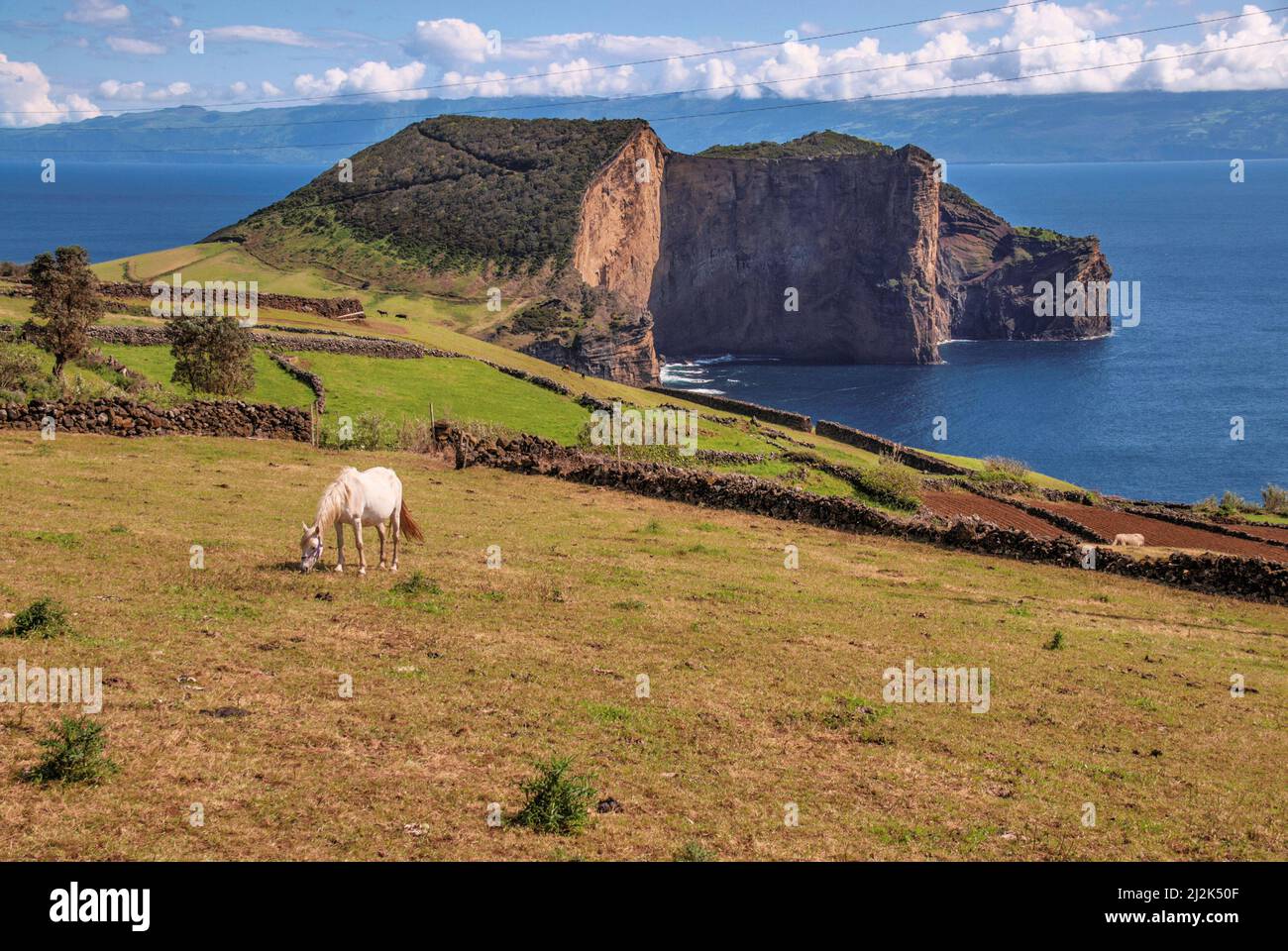 Isola di S.Jorge, Azzorre, Portogallo Foto Stock
