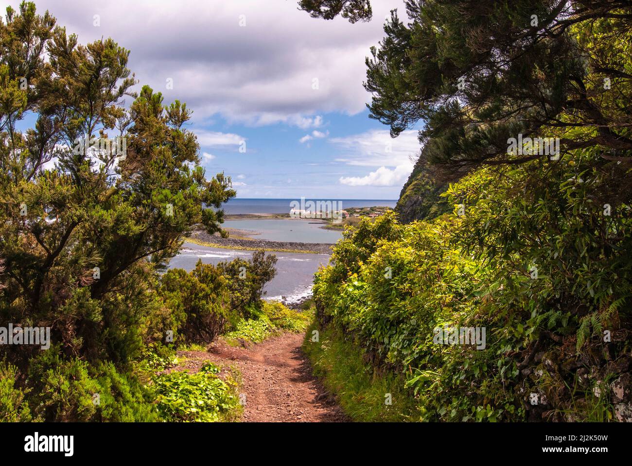 Isola di S.Jorge,Fajã Santo Cristo,Isole Azzorre,Portogallo Foto Stock