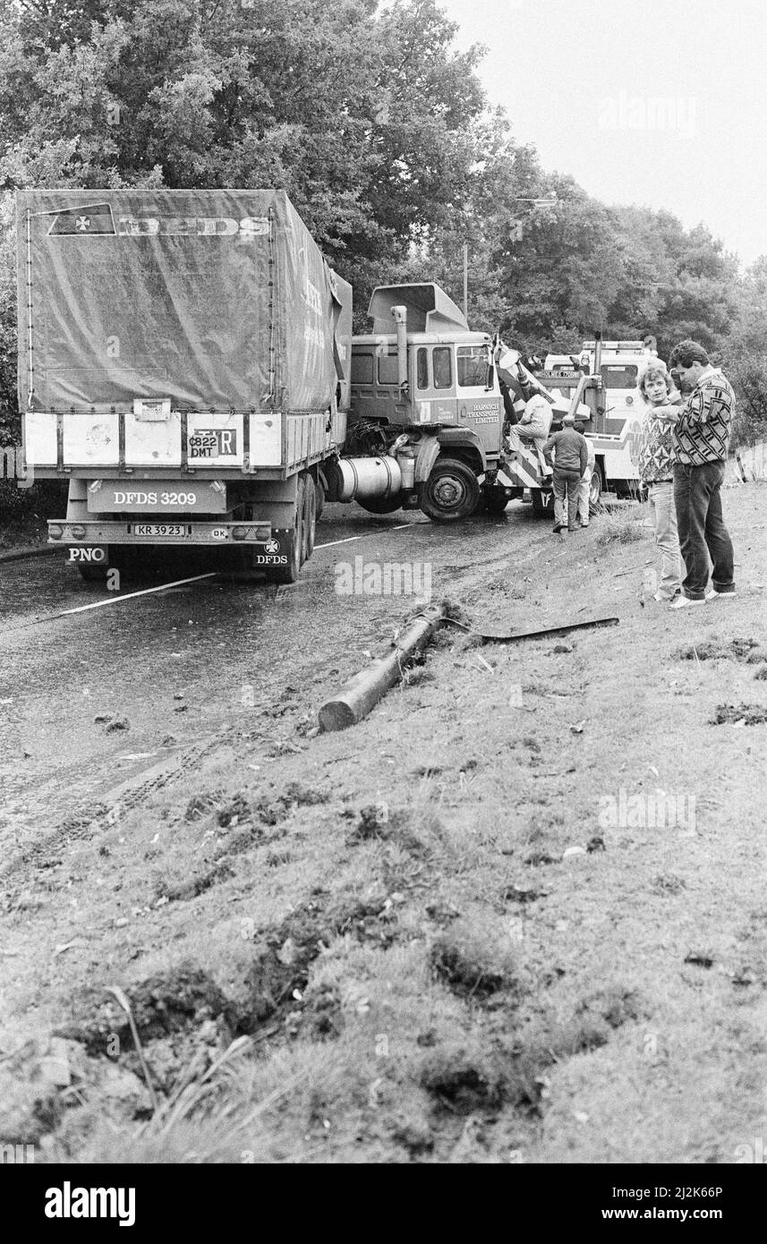 La Grande tempesta Ottobre 1987. Le nostre immagini mostra . . . – Storm Damage Bracknell, Berkshire, Inghilterra, 16th ottobre 1987. La Grande tempesta del 1987 avvenne nella notte del 15th e 16th ottobre 1987. Un sistema meteorologico insolitamente forte ha causato venti per colpire gran parte dell'Inghilterra meridionale e della Francia settentrionale. Fu la peggiore tempesta a colpire l'Inghilterra dalla Grande tempesta del 1703. Il danno è stato stimato a 7,3 miliardi di sterline inglesi; 23 miliardi di franchi francesi. Foto Stock