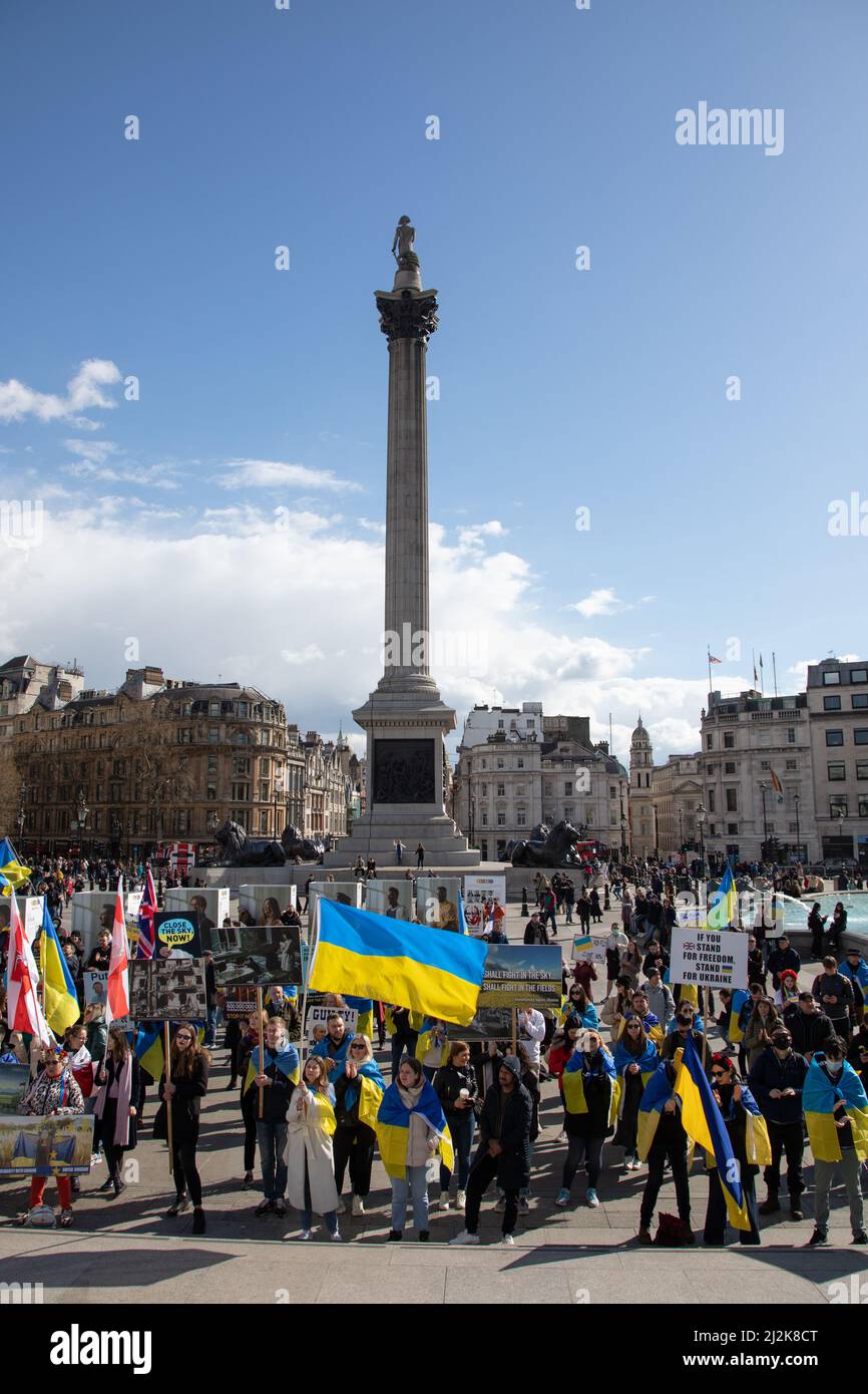 Londra, Regno Unito. 2 aprile 2022. La gente si è riunita a Trafalgar Square per dimostrare solidarietà con l'Ucraina e per chiedere la fine della guerra. Credit: Kiki Streitberger/Alamy Live News Foto Stock