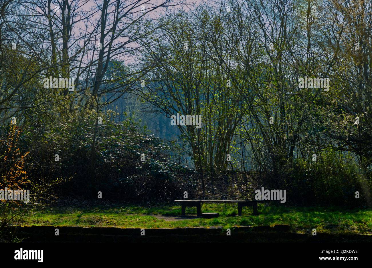 luogo soleggiato in un parco con posti a sedere liberi su una panchina del parco Foto Stock