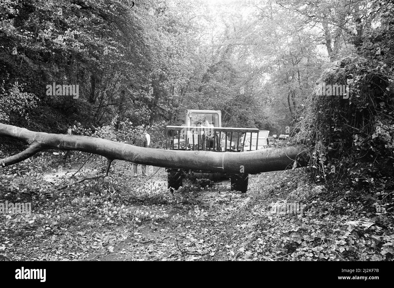 La Grande tempesta Ottobre 1987. Le nostre immagini mostra . . . Storm Damage, Henley on Thames, Oxfordshire, Inghilterra, 16th ottobre 1987. La Grande tempesta del 1987 avvenne nella notte del 15th e 16th ottobre 1987. Un sistema meteorologico insolitamente forte ha causato venti per colpire gran parte dell'Inghilterra meridionale e della Francia settentrionale. Fu la peggiore tempesta a colpire l'Inghilterra dalla Grande tempesta del 1703. Il danno è stato stimato a 7,3 miliardi di sterline inglesi; 23 miliardi di franchi francesi. Foto Stock