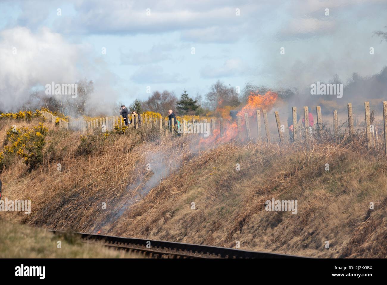 Weybourne, Regno Unito – Aprile 2nd 2022: Fuoco di terrapieno a Kelling Heath durante l'evento di gala di primavera sul North Norfolk Poppy Line Credit: Richard o'Donoghue/Alamy Live News Foto Stock