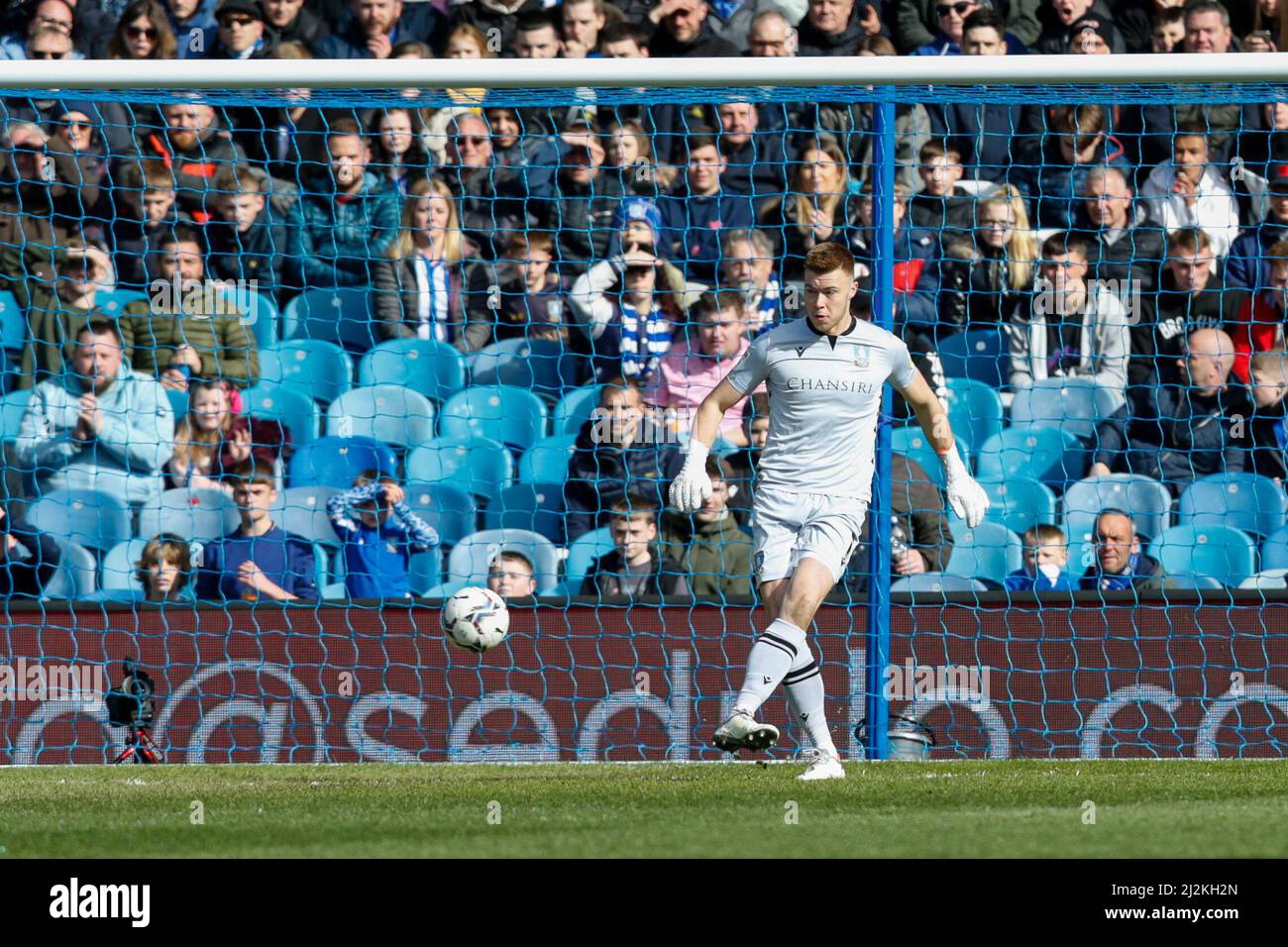 Bailey Peacock-Farrell #1 di Sheffield Mercoledì Foto Stock