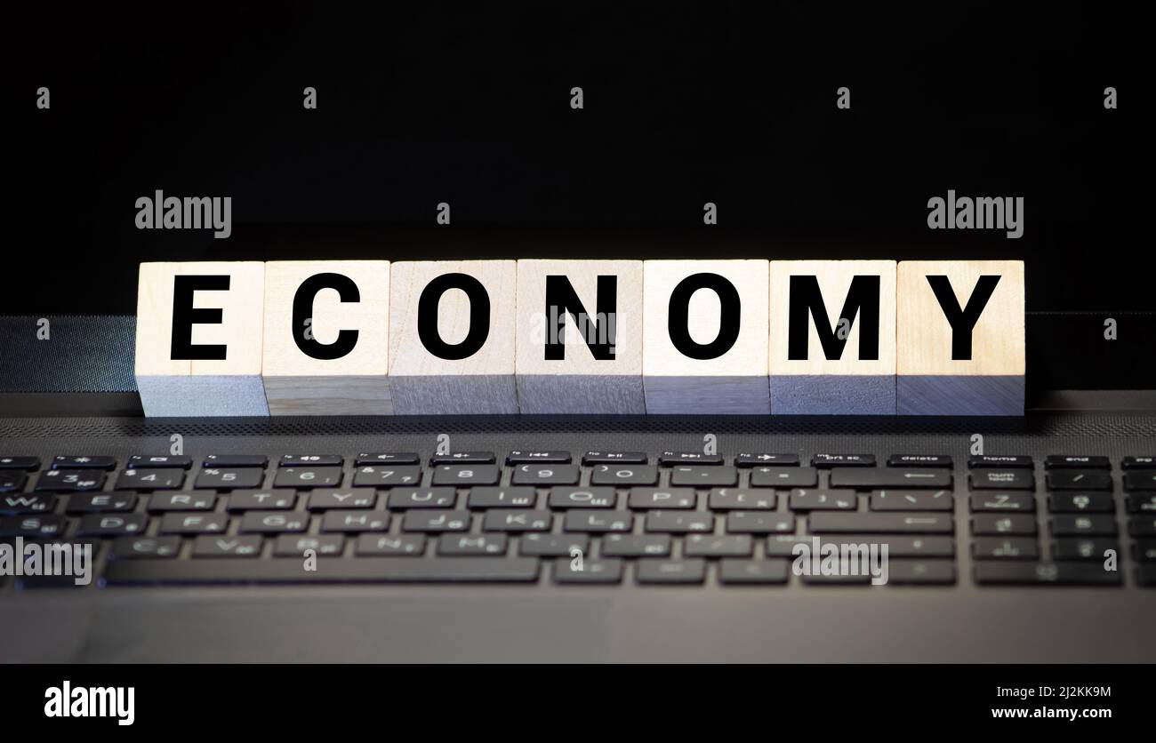 FORMULAZIONE ECONOMICA con parole sparse con piccolo pallido su sfondo bianco e nero.concetto di economia e business.immagine di messa a fuoco selettiva. Foto Stock