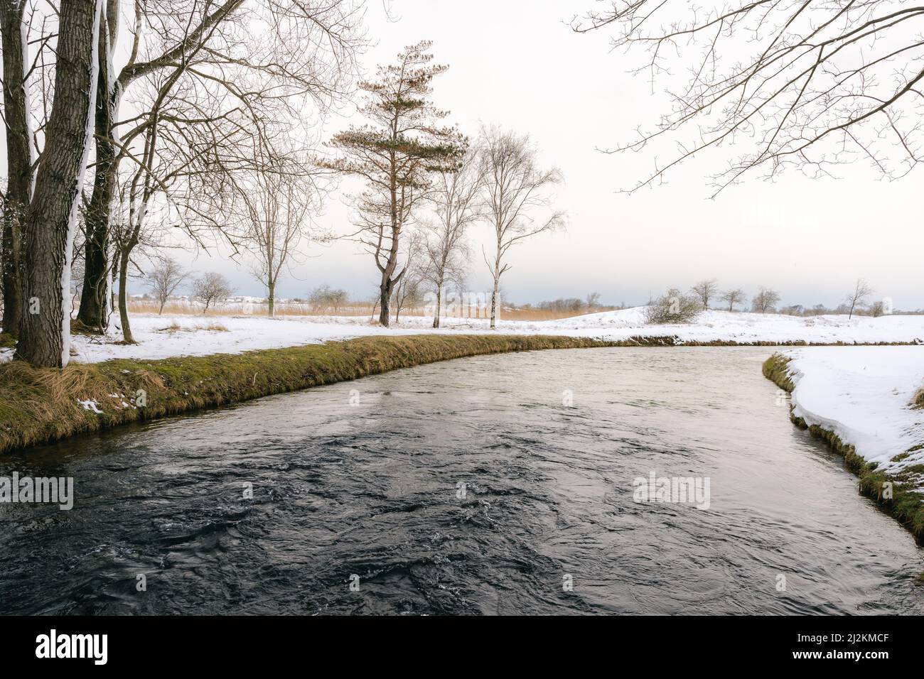 Paesaggio invernale, fiume con alberi e strato bianco con neve Foto Stock