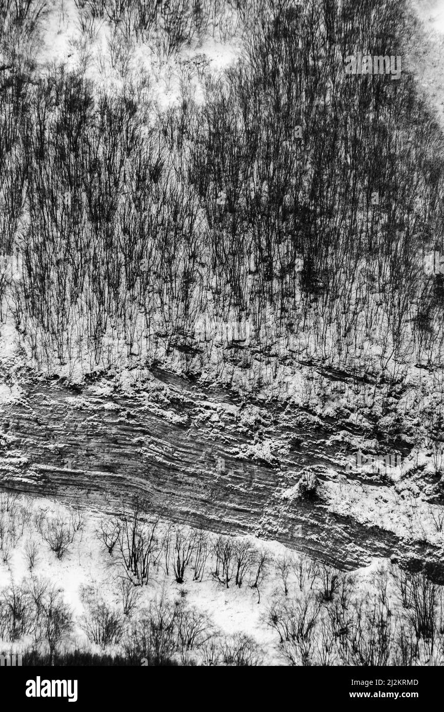 Vista aerea di alberi coperti di neve in una foresta, sul lato del monte Cucco che crea una sorta di struttura astratta Foto Stock