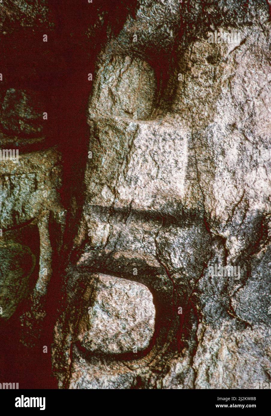Una cava di pietra di 4 mila anni usata dai popoli del paleo Eskimo, si trova sulla penisola di Baie Vert di Terranova in Canada. Foto Stock