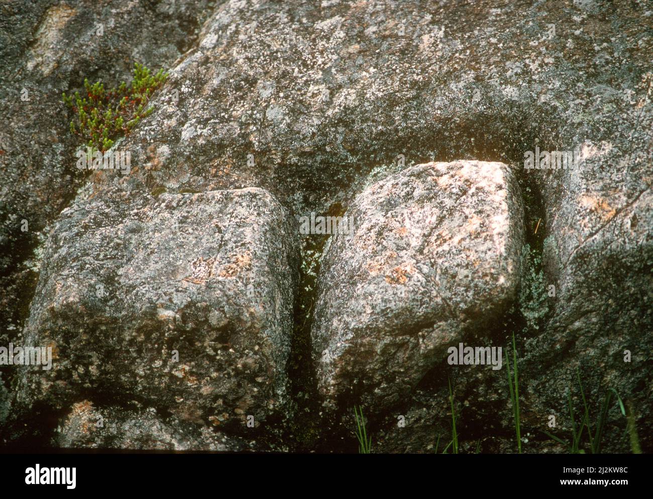 Una cava di pietra di 4 mila anni usata dai popoli del paleo Eskimo, si trova sulla penisola di Baie Vert di Terranova in Canada. Foto Stock