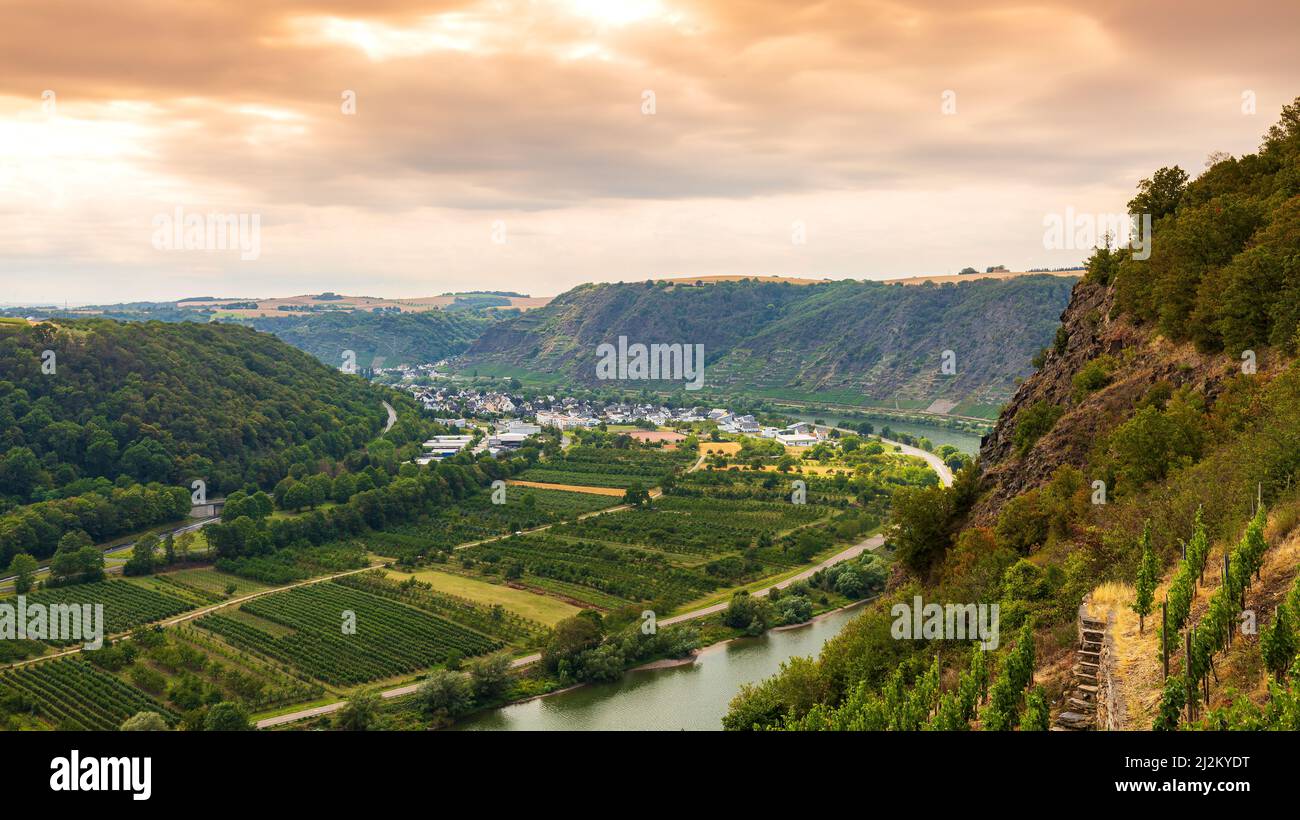 Vista in una trave in acciaio ponte di collegamento di Hunsrück ed Eifel gamme della montagna che guarda sul fiume Moselle e vigneti Winningen regione dei vini. Foto Stock