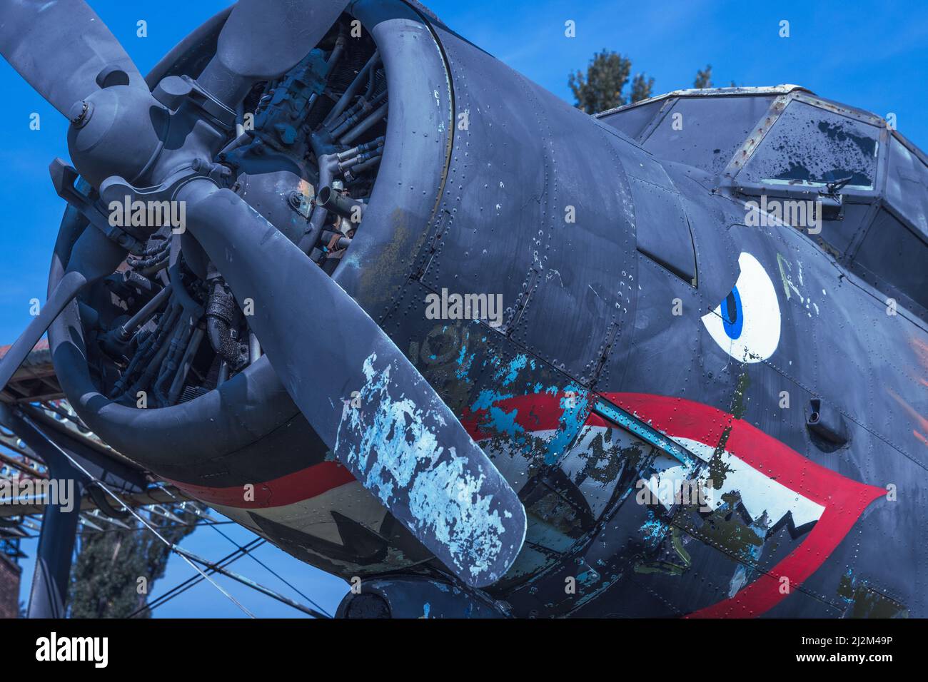 Antonov AN-2 al Museo dell'Aviazione statale dell'Ucraina, Kiev Foto Stock
