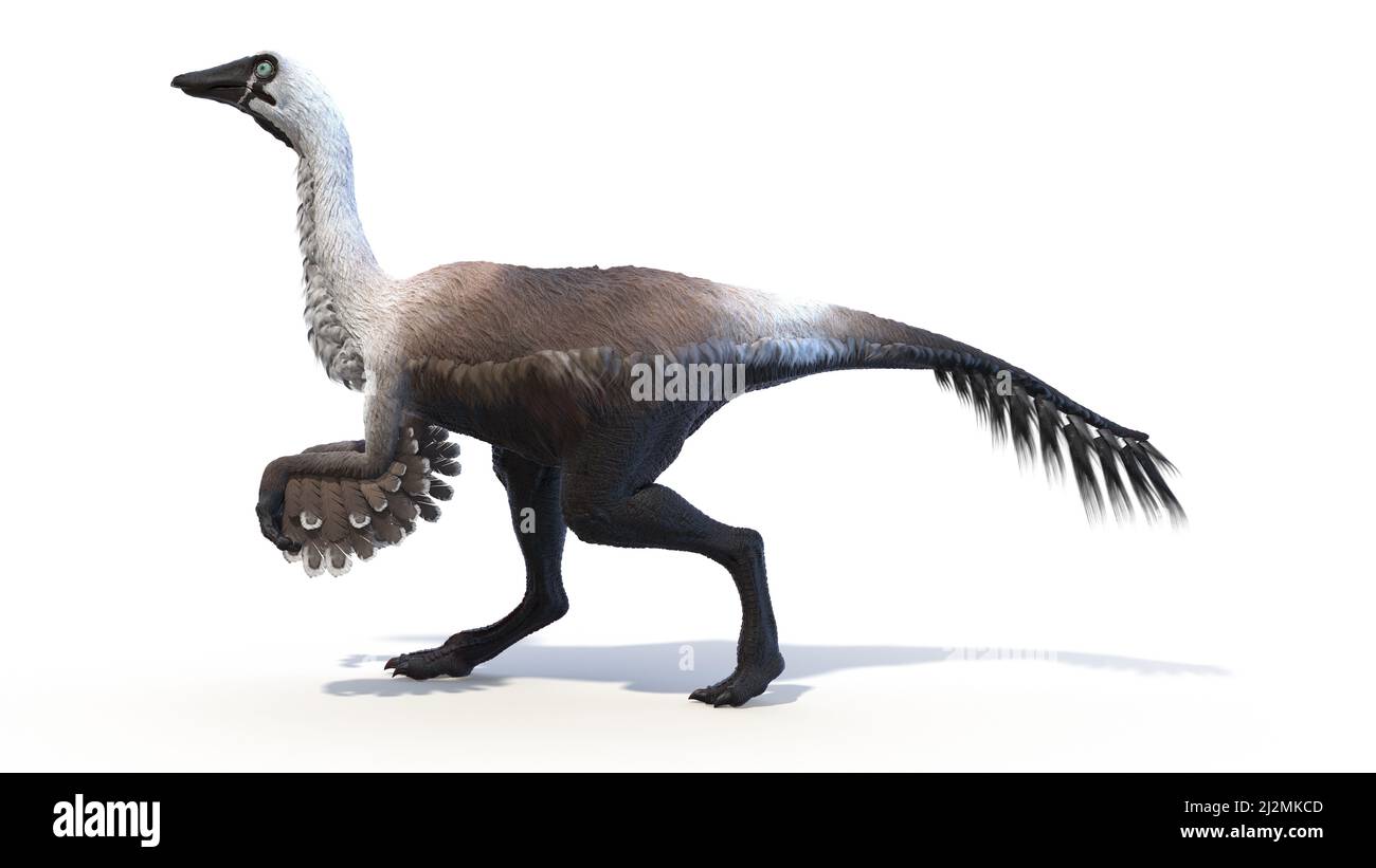 Gallimus, illustrazione Foto Stock