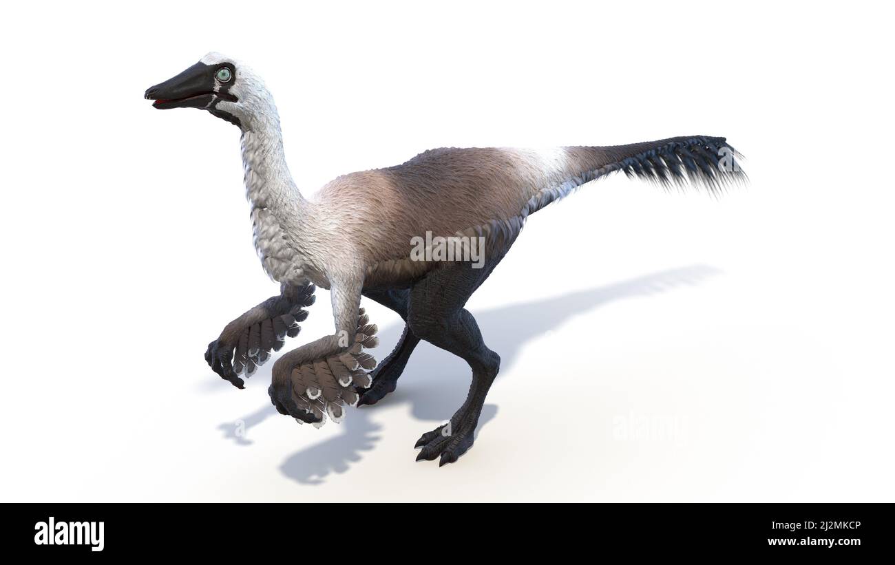 Gallimus, illustrazione Foto Stock