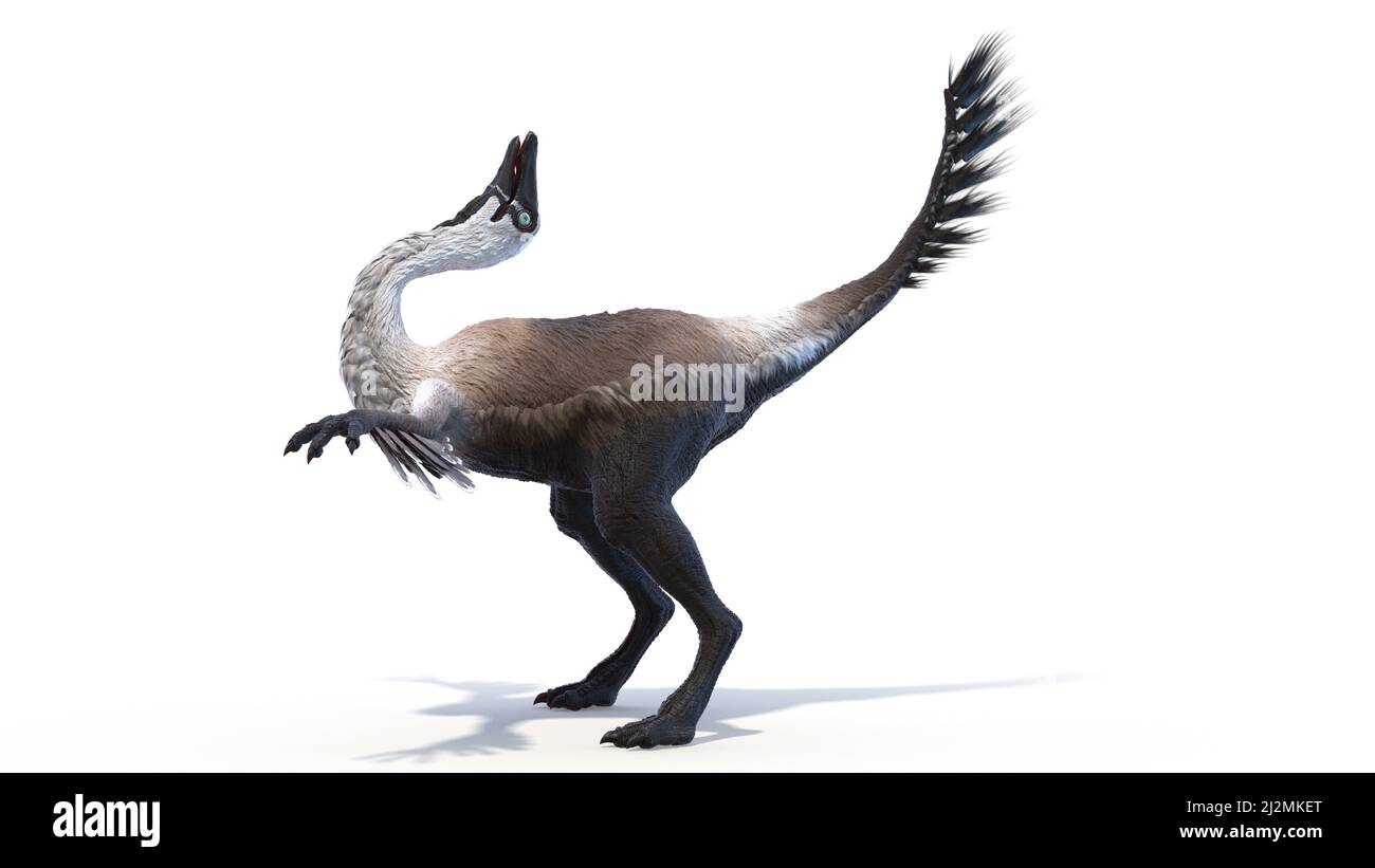 Gallimus, illustrazione Foto Stock