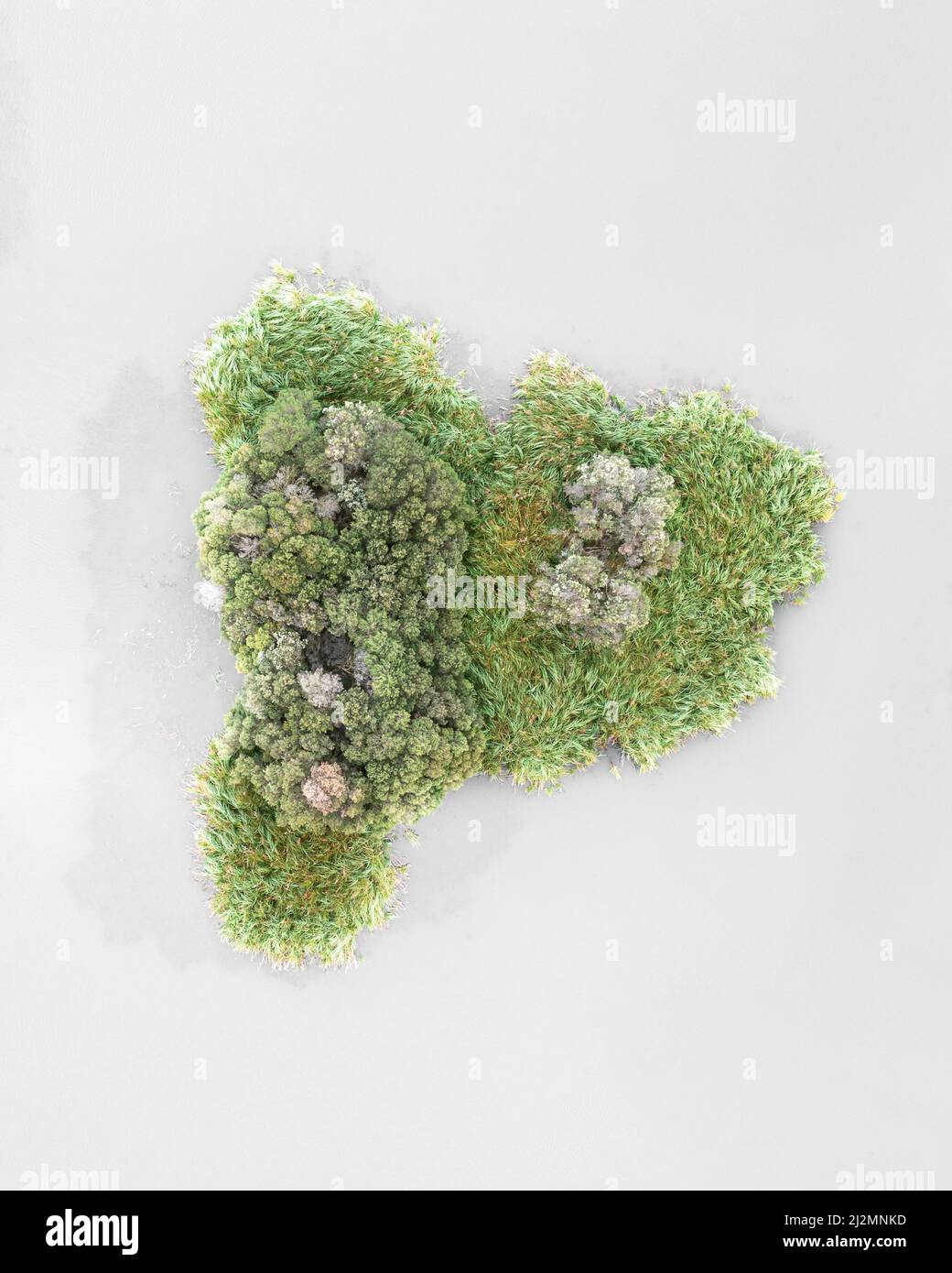 Forma della lettera P in natura Foto Stock