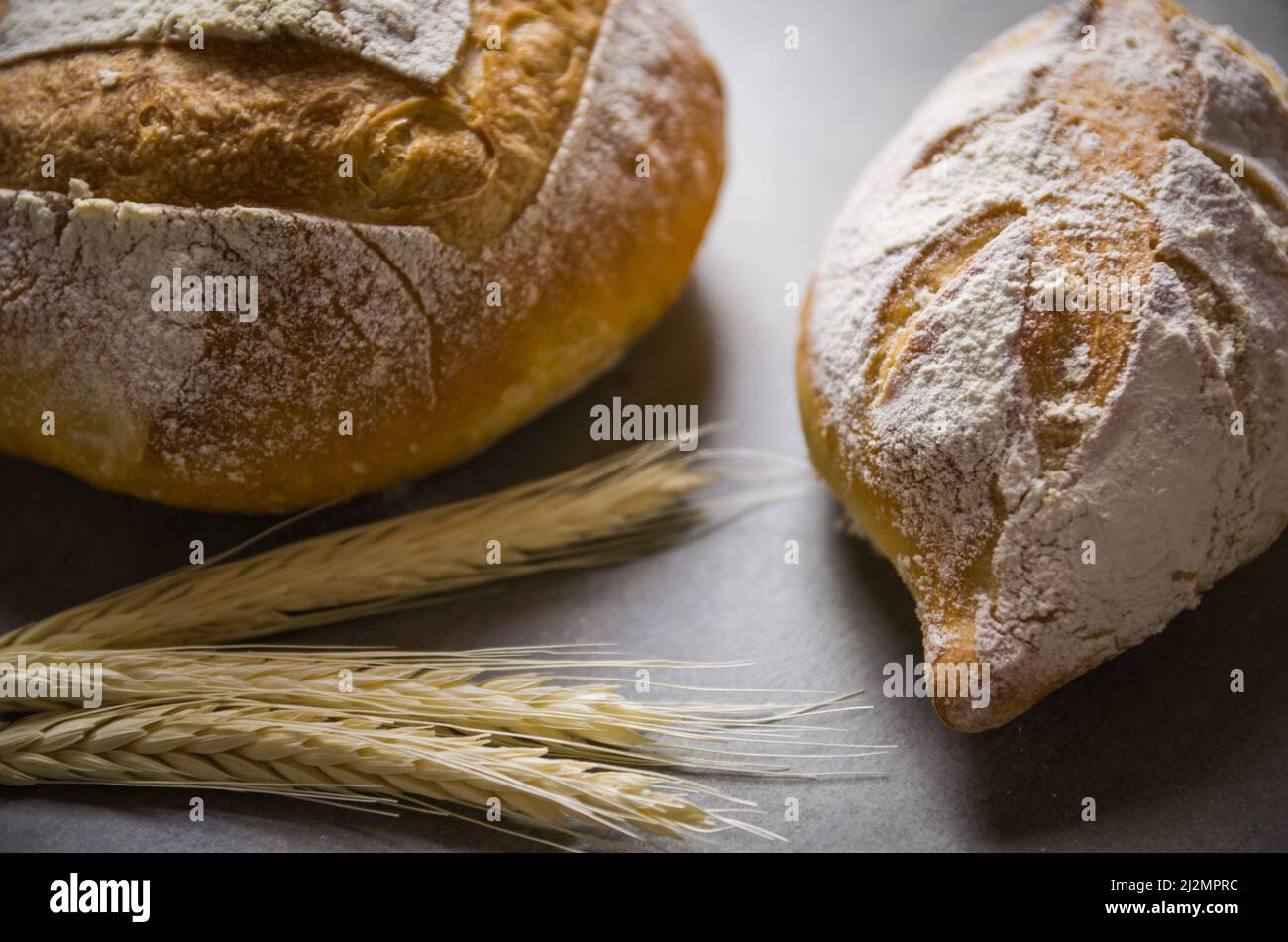 Bel pane di pasta di Sourdough su sfondo grigio con fiore di grano secco. Foto Stock